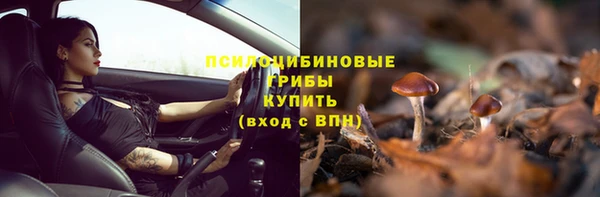 прущие крисы Корсаков