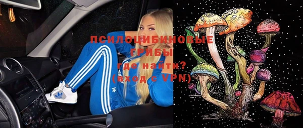MESCALINE Коряжма