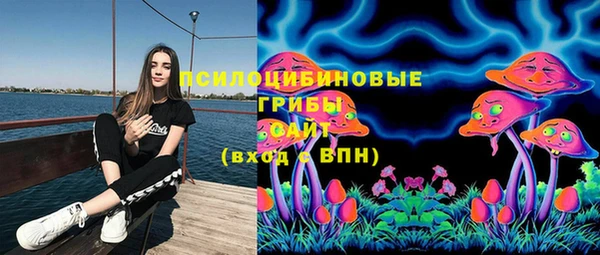 MESCALINE Коряжма