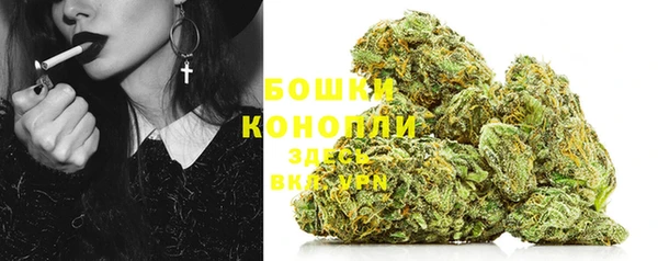 spice Кодинск
