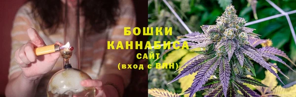 MESCALINE Коряжма
