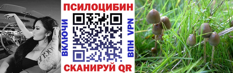 Псилоцибиновые грибы Cubensis  наркотики  Лангепас 